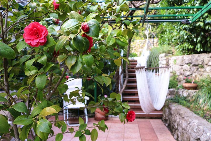 Appartement Sunny Garden à Opatija Extérieur photo